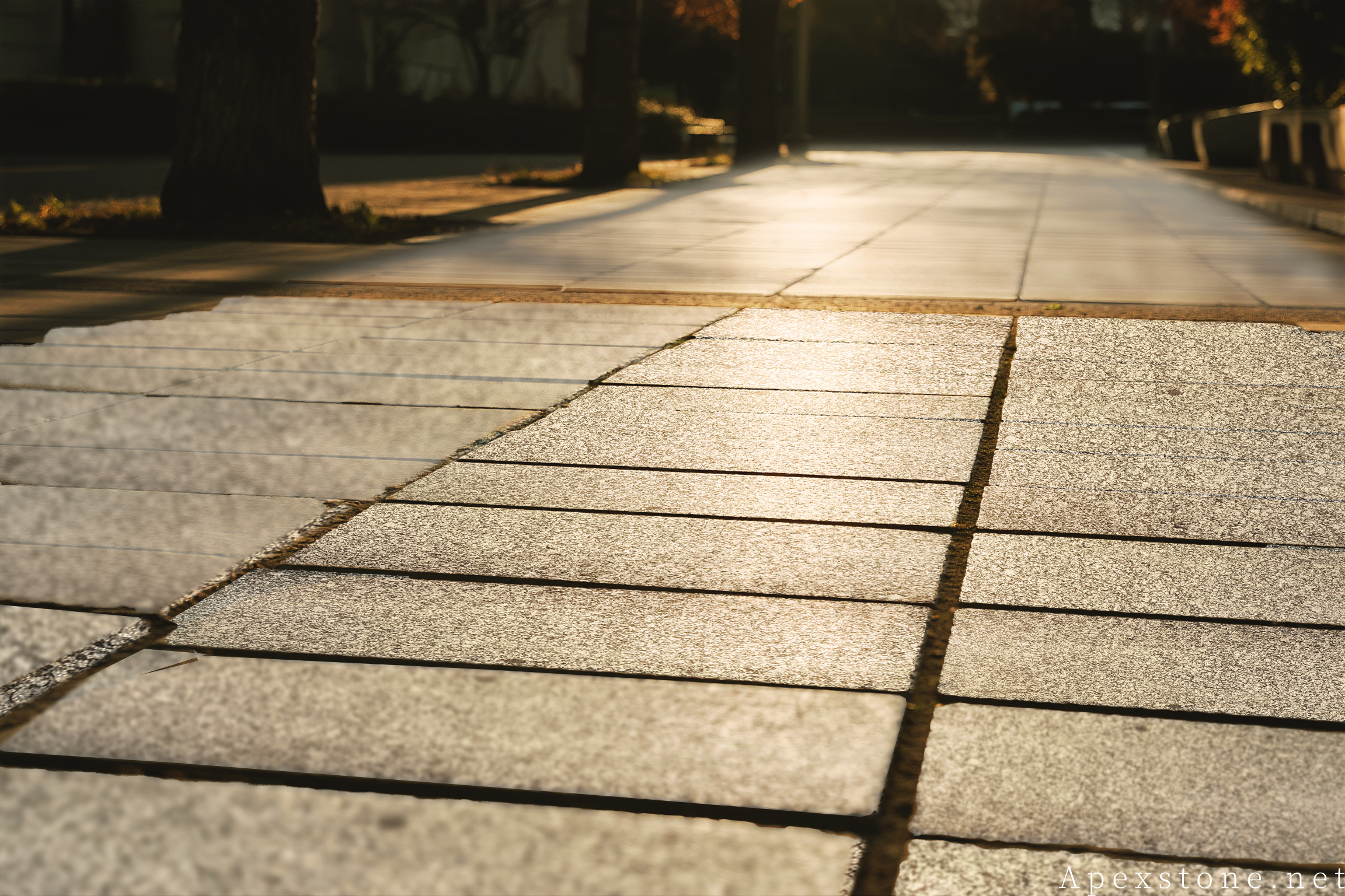 Sea Wave Granite - pavers and stone paving Sunlit Sea Wave granite walkway paving with square tiles