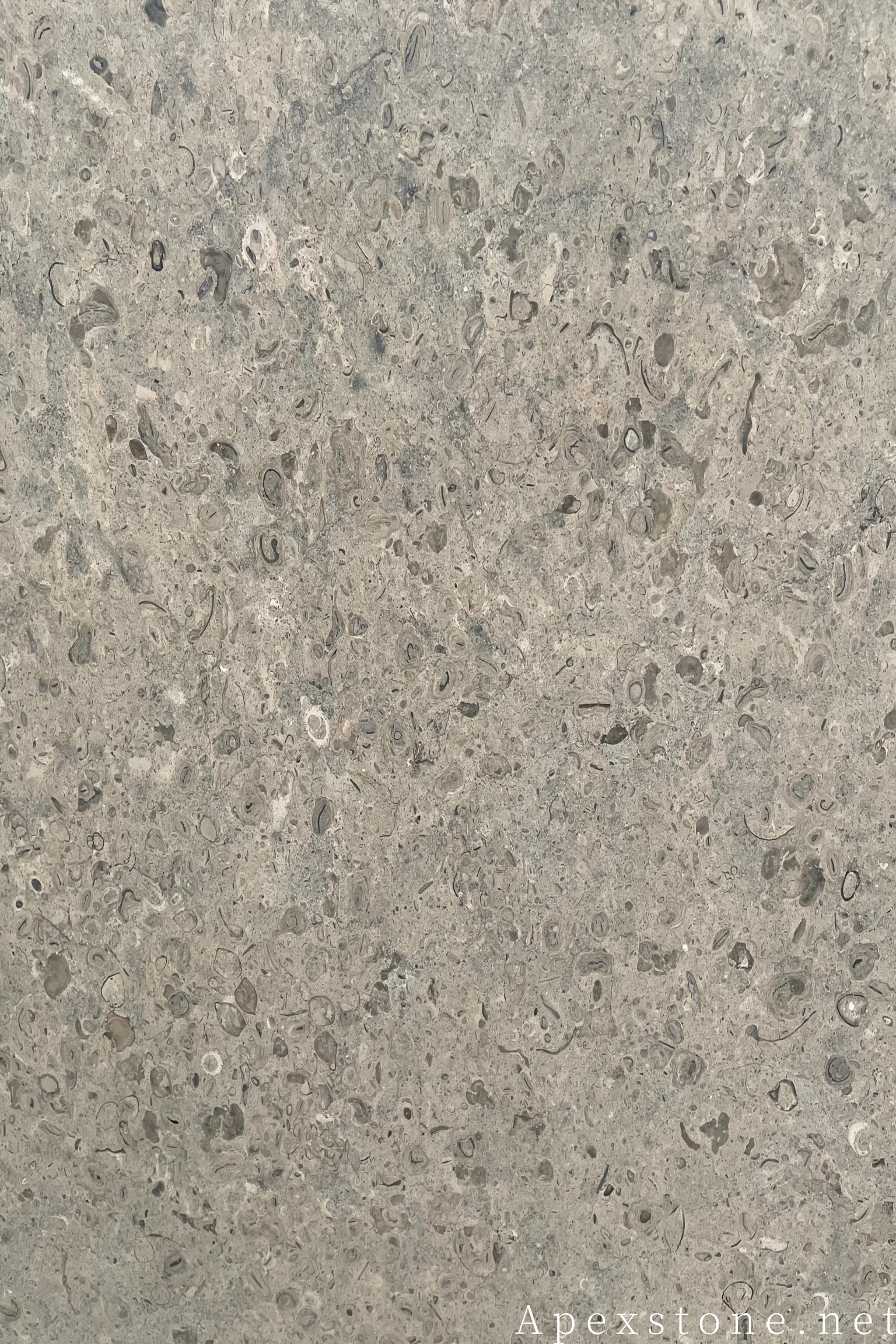 Portuguese Grey Limestone Portuguese Grey limestone slabs with warm grey tone and fine subtle speckle